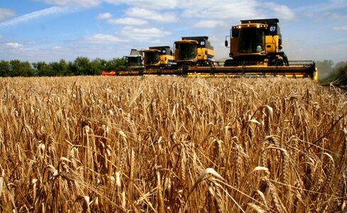 Holiday of Grain Growers-Agrarians